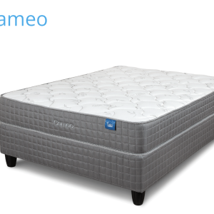 CAMEO MATT 240mm (ALOE VERA)